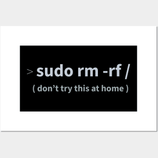 Developer Sudo rm -rf Posters and Art